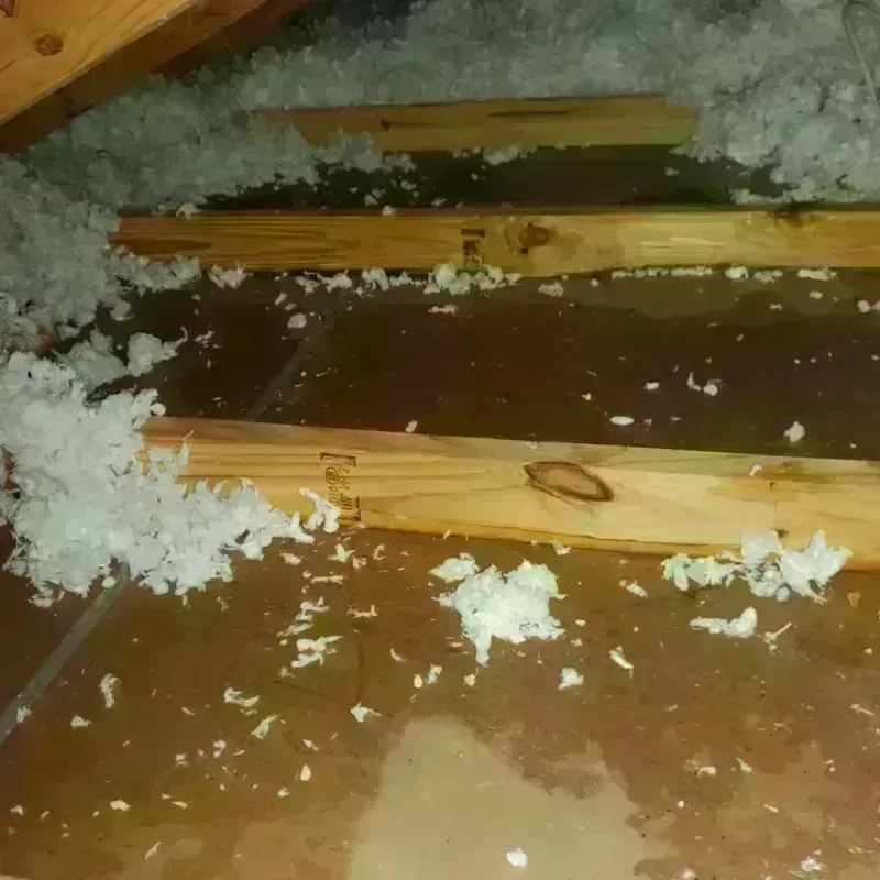 Attic Water Damage in Linton, ND