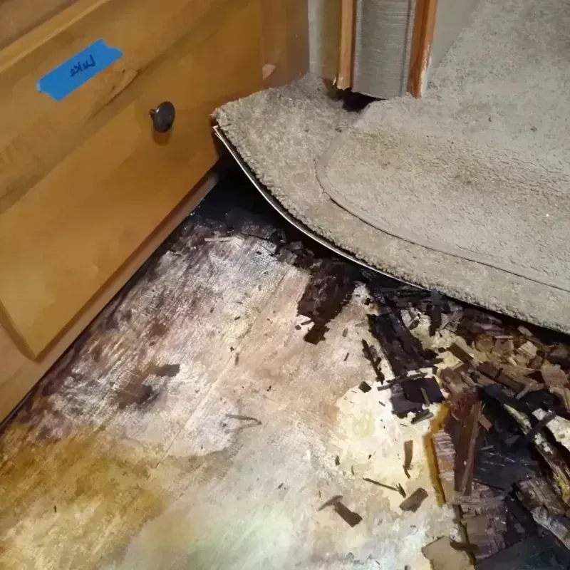 Best Wood Floor Water Damage Service in Linton, ND